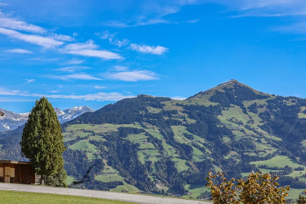 KITZIMMO-Alm Berghütte in Toplage kaufen - Immobilien Kitzbüheler Alpen.