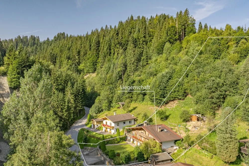 KITZIMMO-Mehrfamilienhaus Apartmenthaus kaufen - Immobilien Hopfgarten.