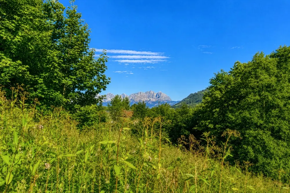 grundstückintoplagekaufenkitzimmokitzbühel-2