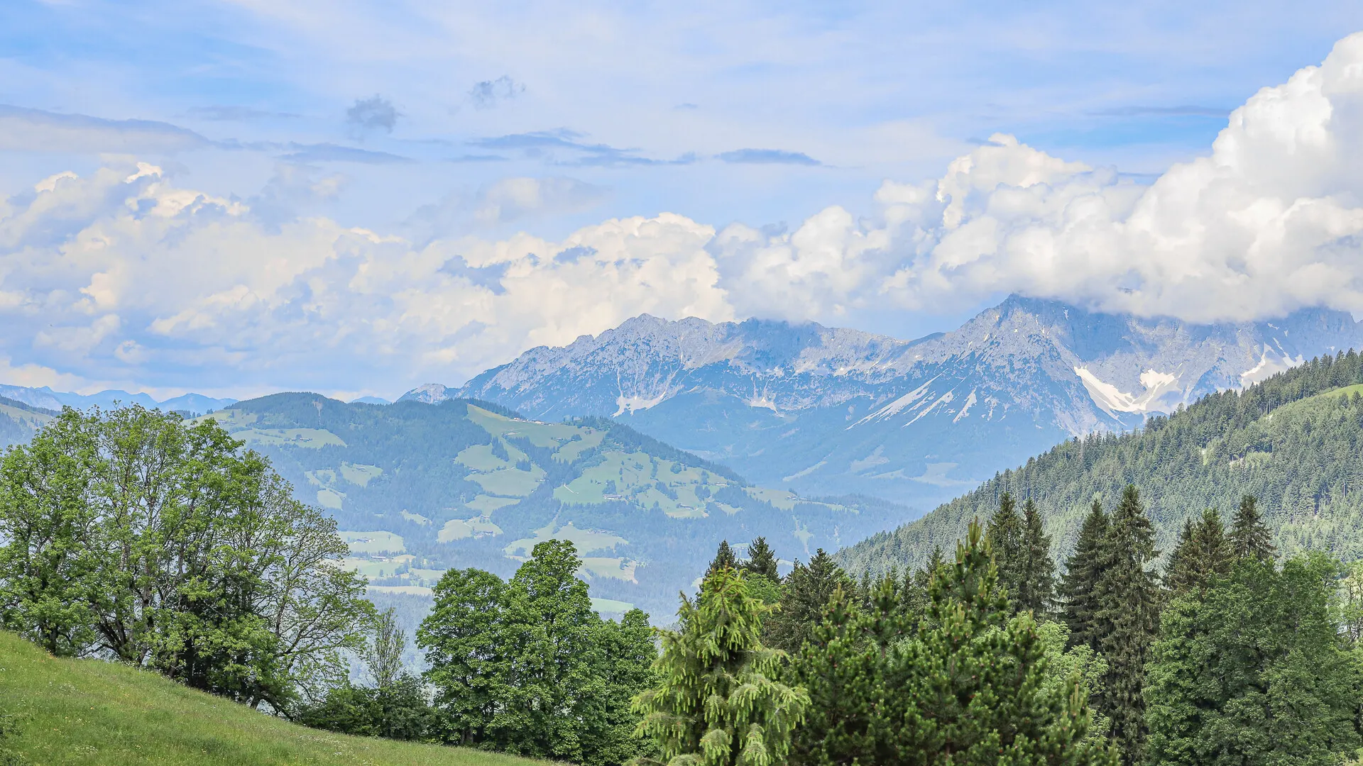 KITZIMMO-Anwesen in Toplage auf der Bichlalm kaufen - Immobilien Kitzbühel.-28